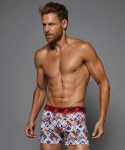 boxer geo 3d